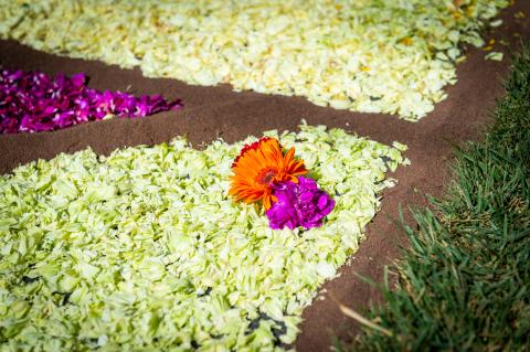 Particolare Infiorata