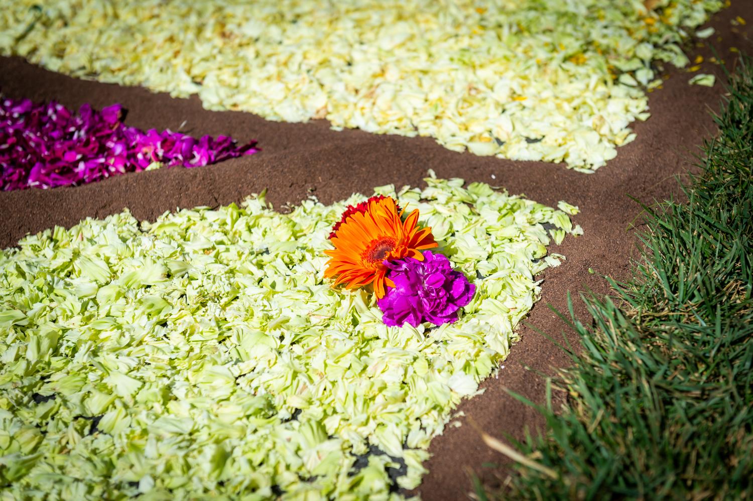 Particolare Infiorata