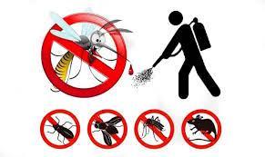 disinfestazione