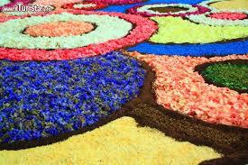 particolare infiorata